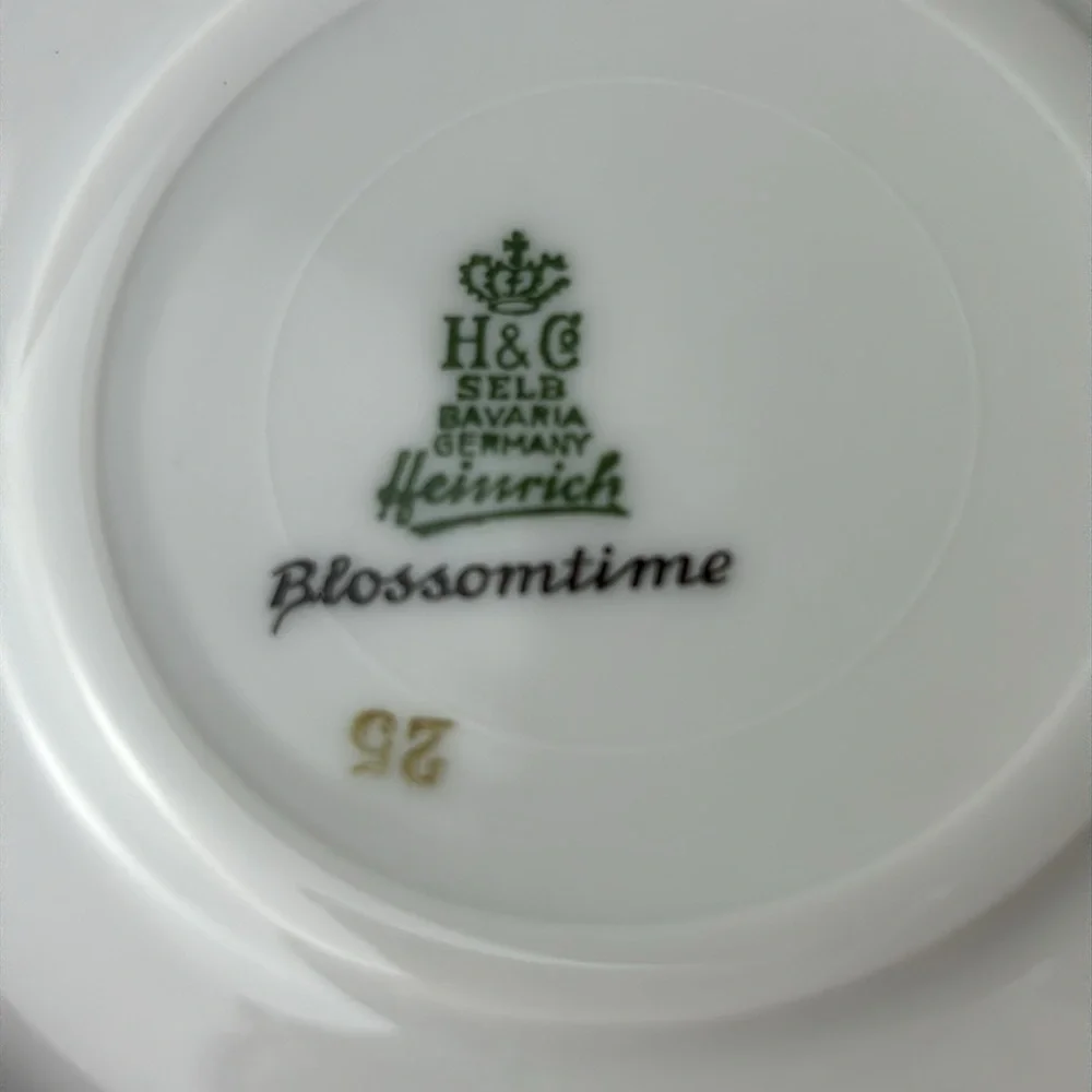H & Co Selb Bavaria Germany Heinrich BLOSSOMTIME Pattern tea cup & saucer number